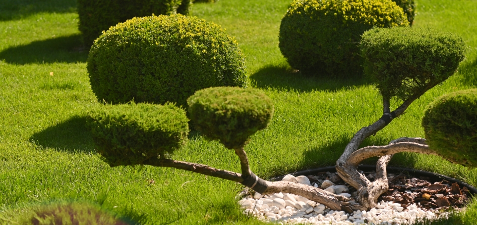 landscape-design-of-a-garden-in-a-public-park-2025-02-12-03-28-45-utc