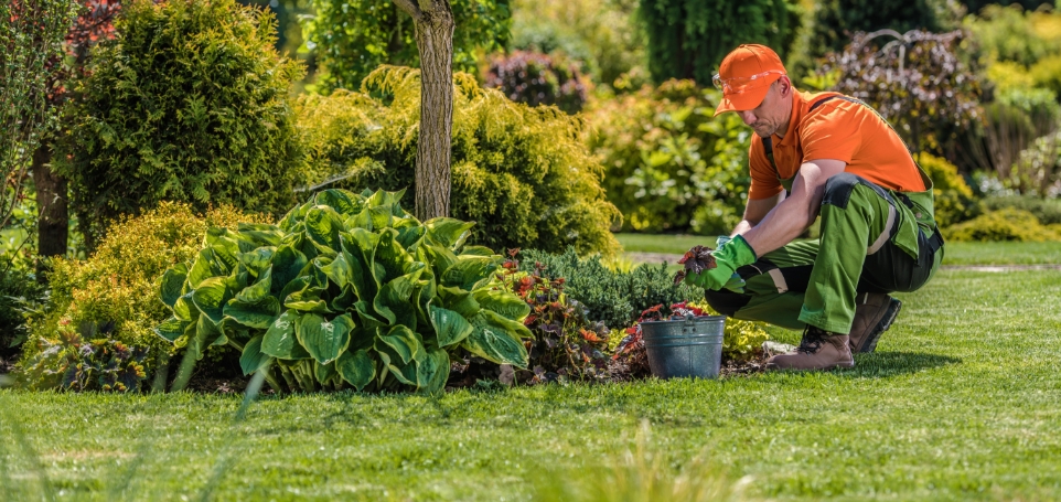 professional-garden-worker-2025-03-15-21-35-06-utc